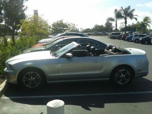 O "Ruivomóvel" da vez