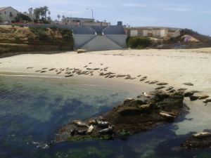 Children's Poll em La Jolla