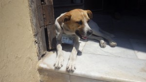 375 Plaza Vieja - La Habana Vieja - Havana - Cuba