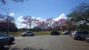 Parque da Cidade